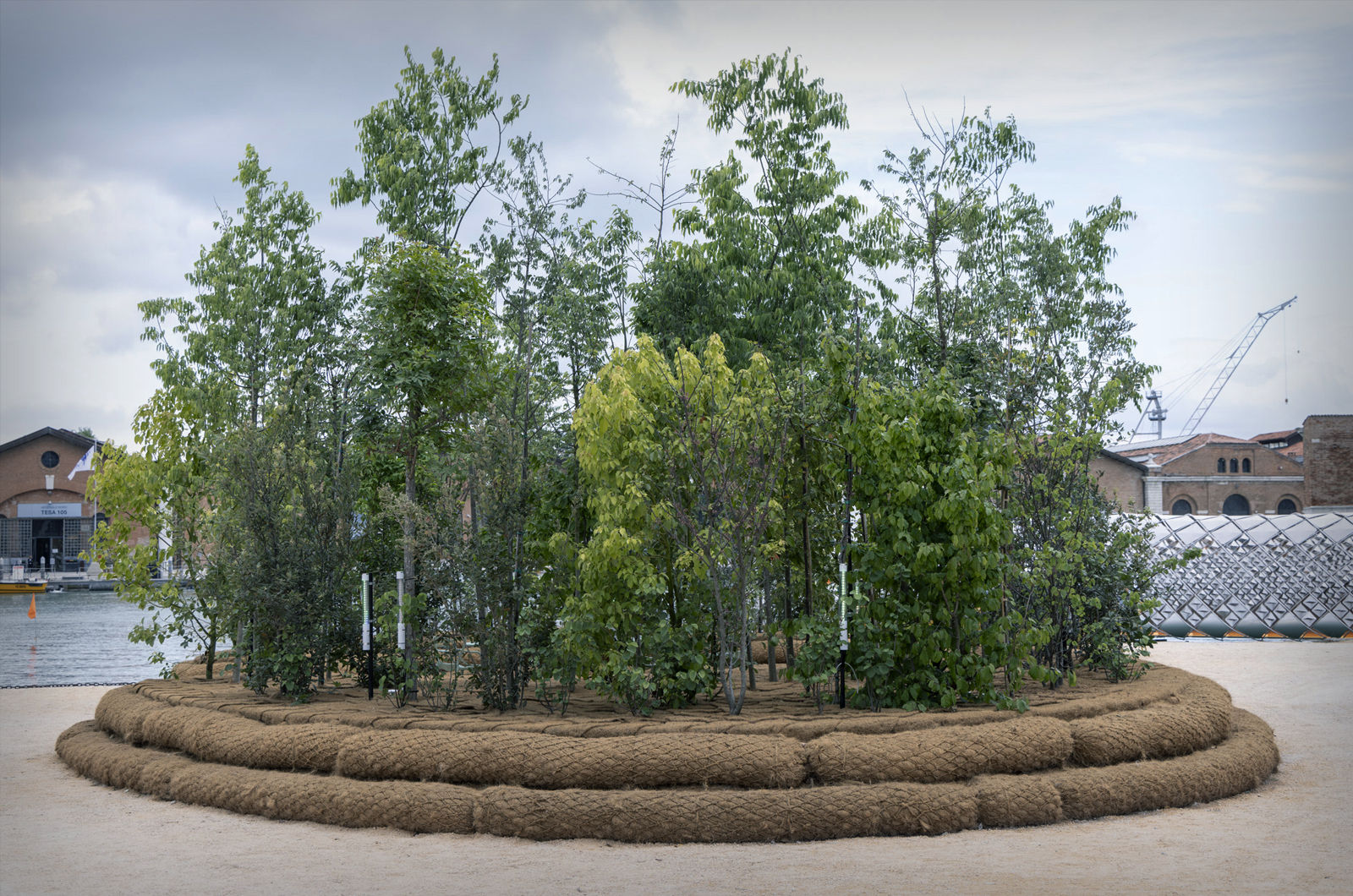 Events - Biennale di Venezia