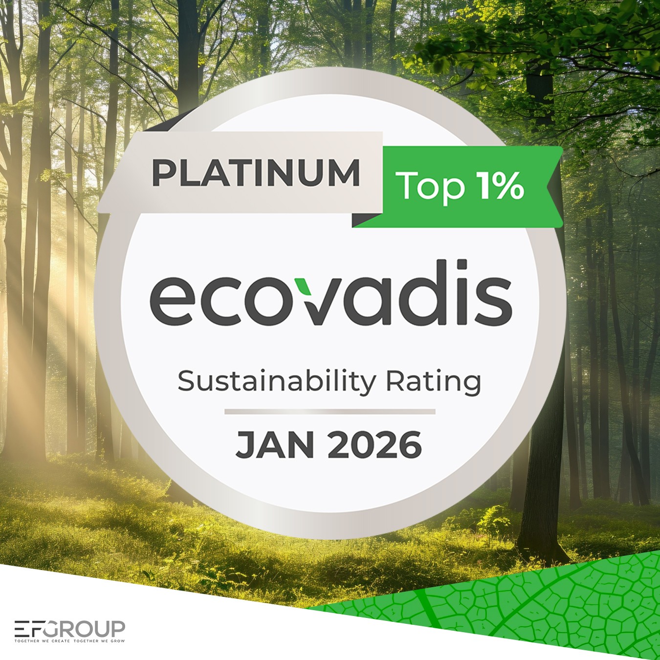 image ecovadis